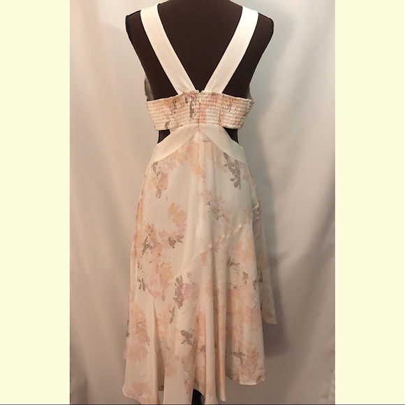 CLUB MONACO Trina Dress 100% Silk Apricot Ivory - Picture 5 of 8